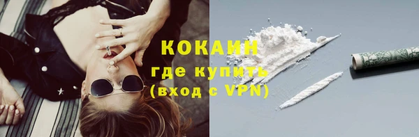 винт Гусь-Хрустальный