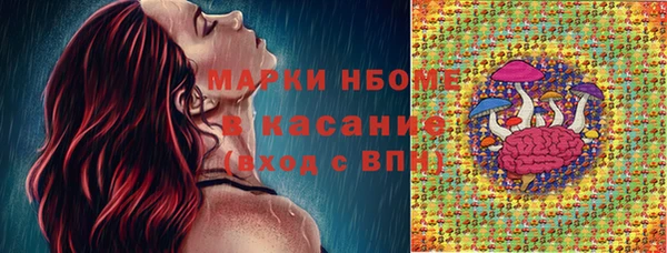 прущая мука Горняк