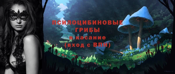 таблы Горнозаводск