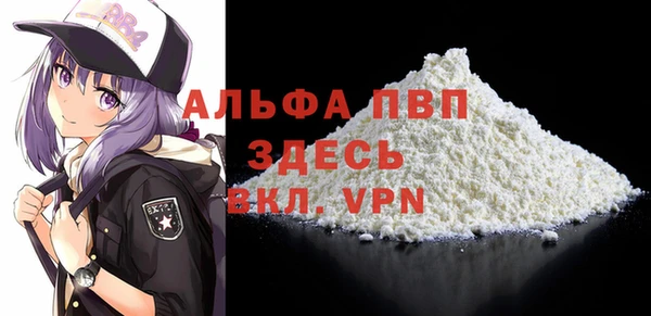 ГАЛЛЮЦИНОГЕННЫЕ ГРИБЫ Осинники
