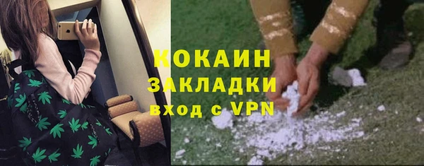 мдпв Михайловск